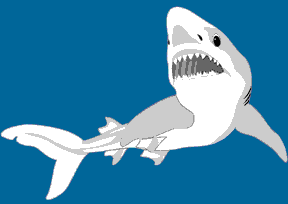 Image of shark from Corel