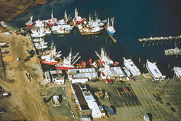 Viking Village from the air