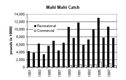 Comp of mahi catch