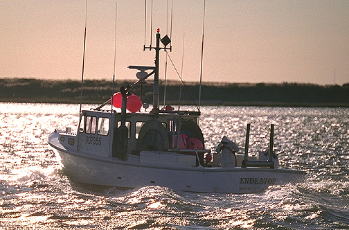 Kevin Wark's Endeavor in Barnegat Inlet