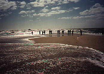 Surf fishing on Cape Hatteras