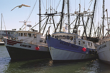 Point Pleasant Vessels