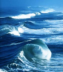 Softkey Photolibrary waves image