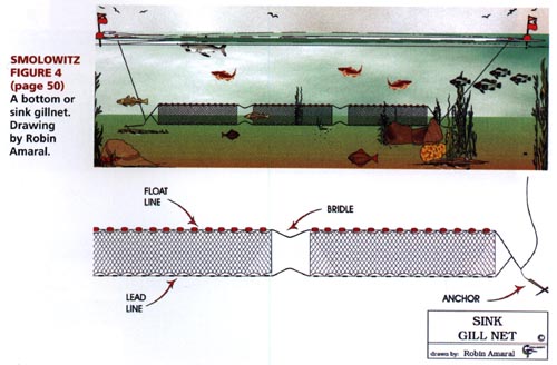 Diagram of a gillnet