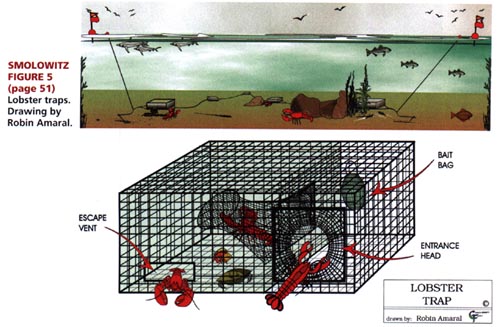 Diagram of a lobster pot