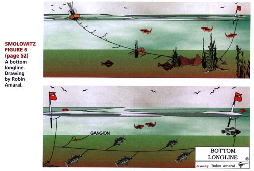 Diagram of a longline