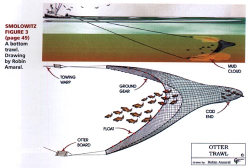 Diagram of an otter trawl