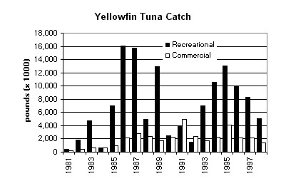 Comp of yellowfin tuna catch