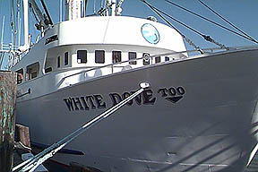 F/V White Dove Too photo