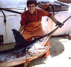 Large swordfish on the deck of a Viking Village longliner